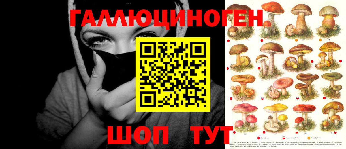 Псилоцибиновые грибы GOLDEN TEACHER Железногорск