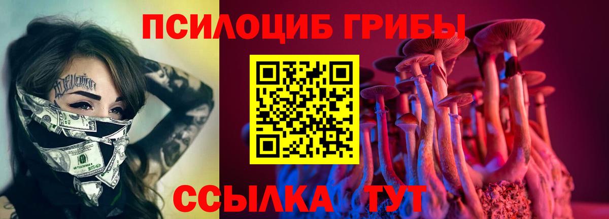 Псилоцибиновые грибы прущие грибы  Вход с VPN  Железногорск 